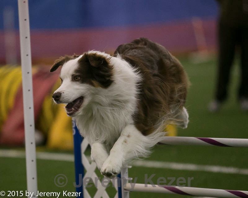 20150321-leap-0306.jpg