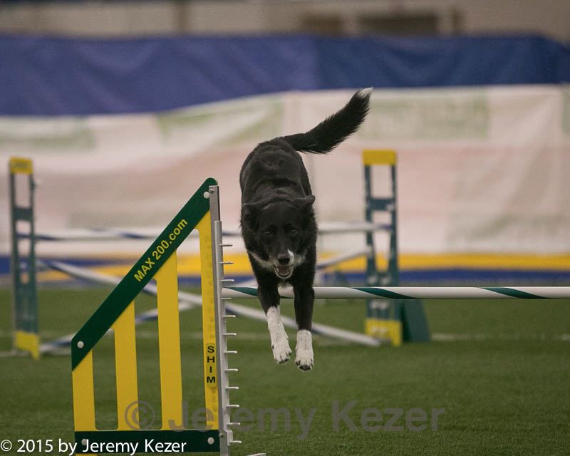 20150321-leap-0308.jpg