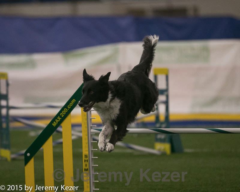 20150321-leap-0335.jpg