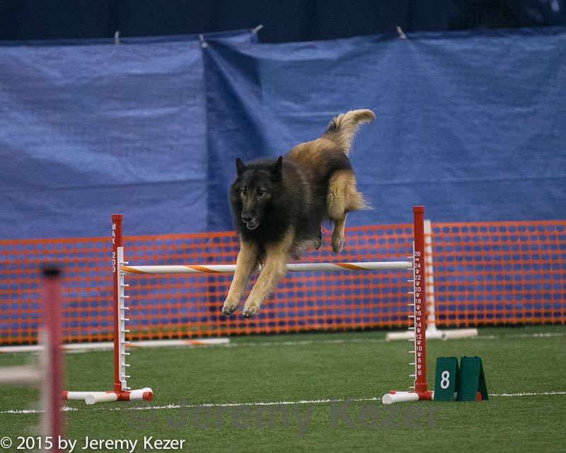 20150321-leap-0271.jpg