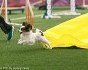 20150322-leap-0003