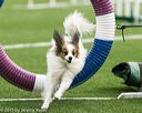 20150322-leap-0007