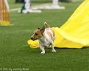 20150322-leap-0009