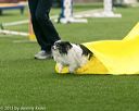 20150322-leap-0018