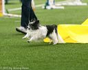 20150322-leap-0019