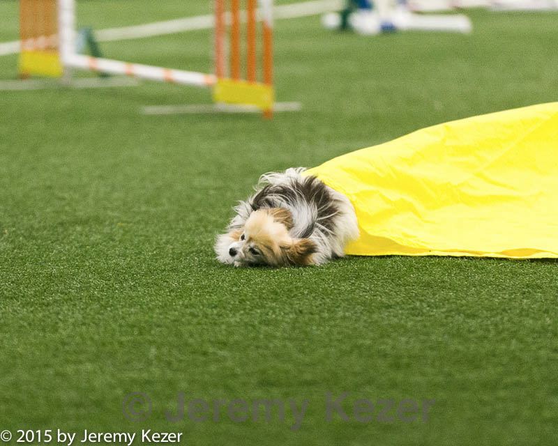 20150322-leap-0026.jpg