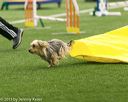 20150322-leap-0038