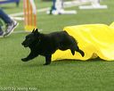 20150322-leap-0051