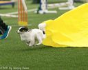 20150322-leap-0055