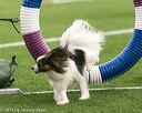 20150322-leap-0061