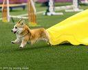 20150322-leap-0080