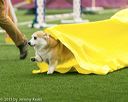 20150322-leap-0087