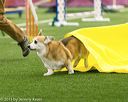 20150322-leap-0088