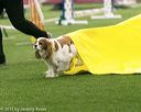 20150322-leap-0093