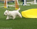 20150322-leap-0099