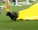 20150322-leap-0102