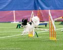 20150322-leap-0139