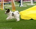 20150322-leap-0147