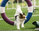20150322-leap-0149