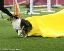 20150322-leap-0170