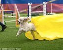 20150322-leap-0268