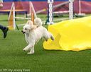 20150322-leap-0269