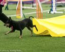 20150322-leap-0276