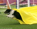 20150322-leap-0285