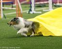 20150322-leap-0291