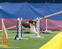 20150322-leap-0298