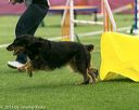 20150322-leap-0303