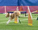 20150322-leap-0310