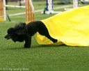20150322-leap-0324