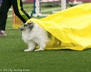 20150322-leap-0332
