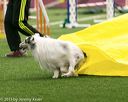20150322-leap-0333