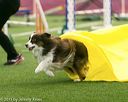 20150322-leap-0337