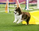 20150322-leap-0340