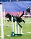 20150322-leap-0344