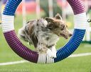 20150322-leap-0386