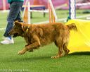 20150322-leap-0409