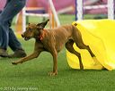 20150322-leap-0441