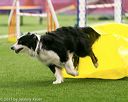 20150322-leap-0453