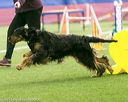 20150322-leap-0572