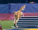 20150322-leap-0591
