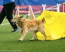 20150322-leap-0604