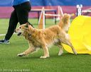 20150322-leap-0605