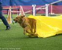 20150322-leap-0621