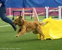 20150322-leap-0622