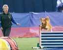 20150322-leap-0630