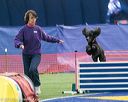 20150322-leap-0638